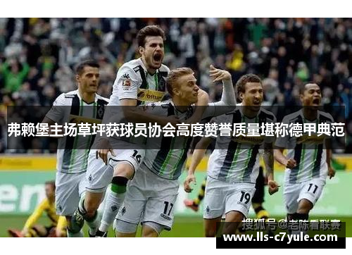 弗赖堡主场草坪获球员协会高度赞誉质量堪称德甲典范 弗赖堡主场草坪获球员协会高度赞誉质量堪称德甲典范